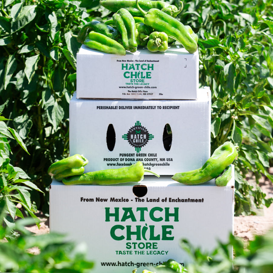 Stacked shipping boxes of fresh Hatch green chile