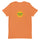 Orange Land of Enchantment Shirt