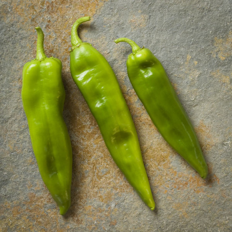 Three fresh Fresh Hatch Green Chiles arranged on a textured gray stone surface.
