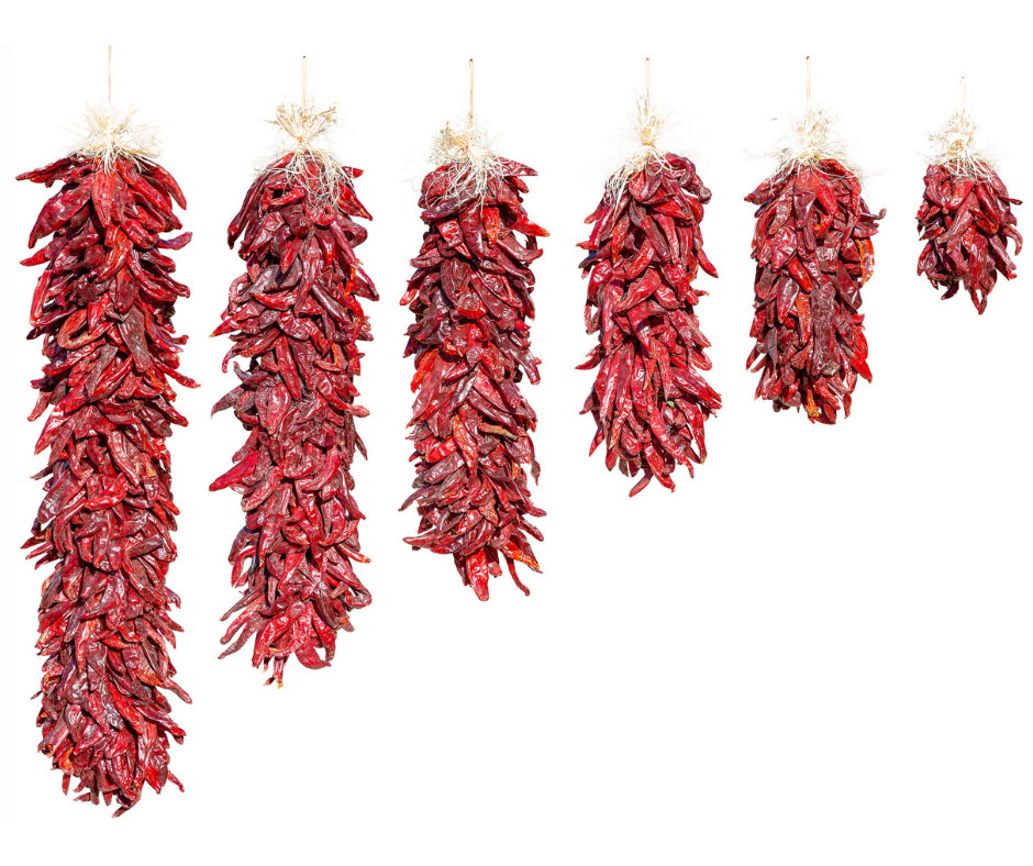 Five hanging Traditional Sandia Ristras arranged in a row against a white background.