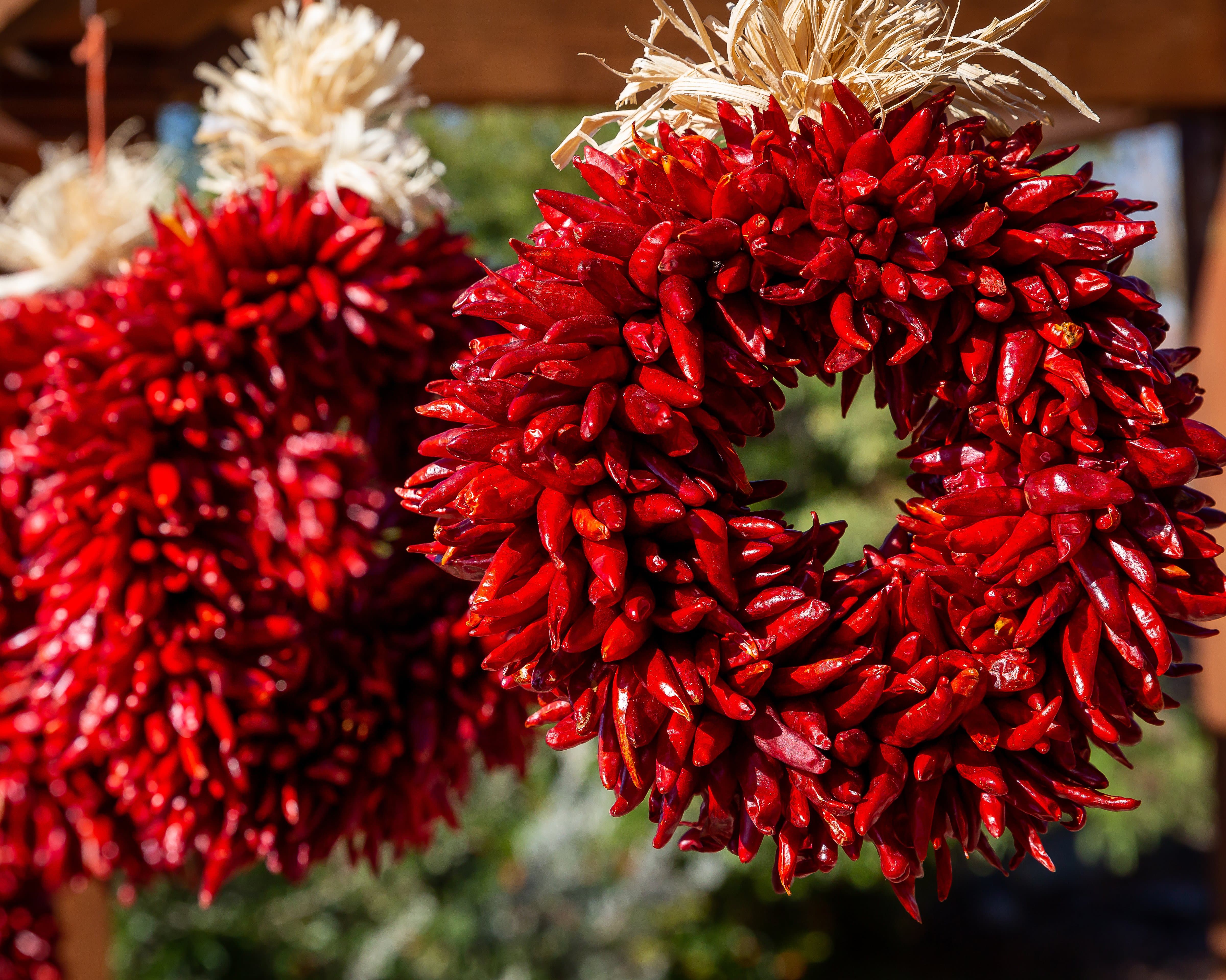 A vibrant image of two hanging hand-made chile pequin wreaths, one in focus in the foreground and another slightly blurred in the background, under natural sunlight.