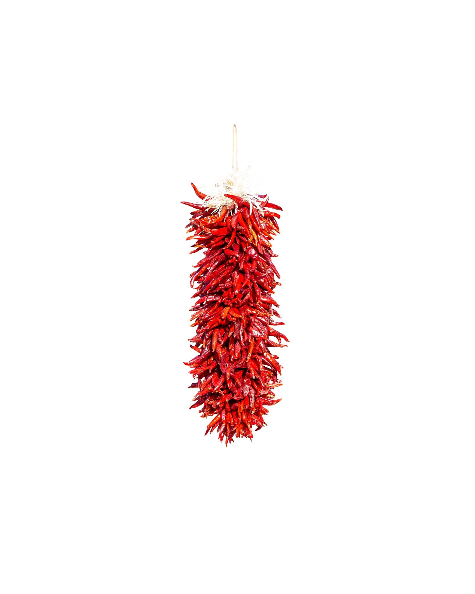 A vertical string of bright red Chile Pequin Ristras, bundled together as a handmade ristra, hanging against a plain white background.