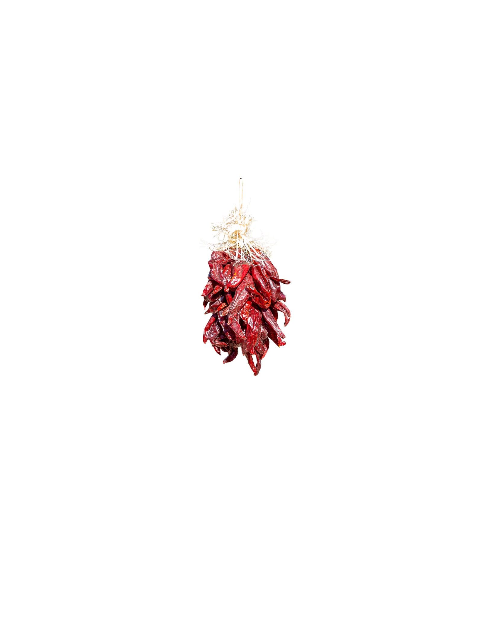 A bundle of dried Traditional Sandia Ristras hanging from a string against a white background.