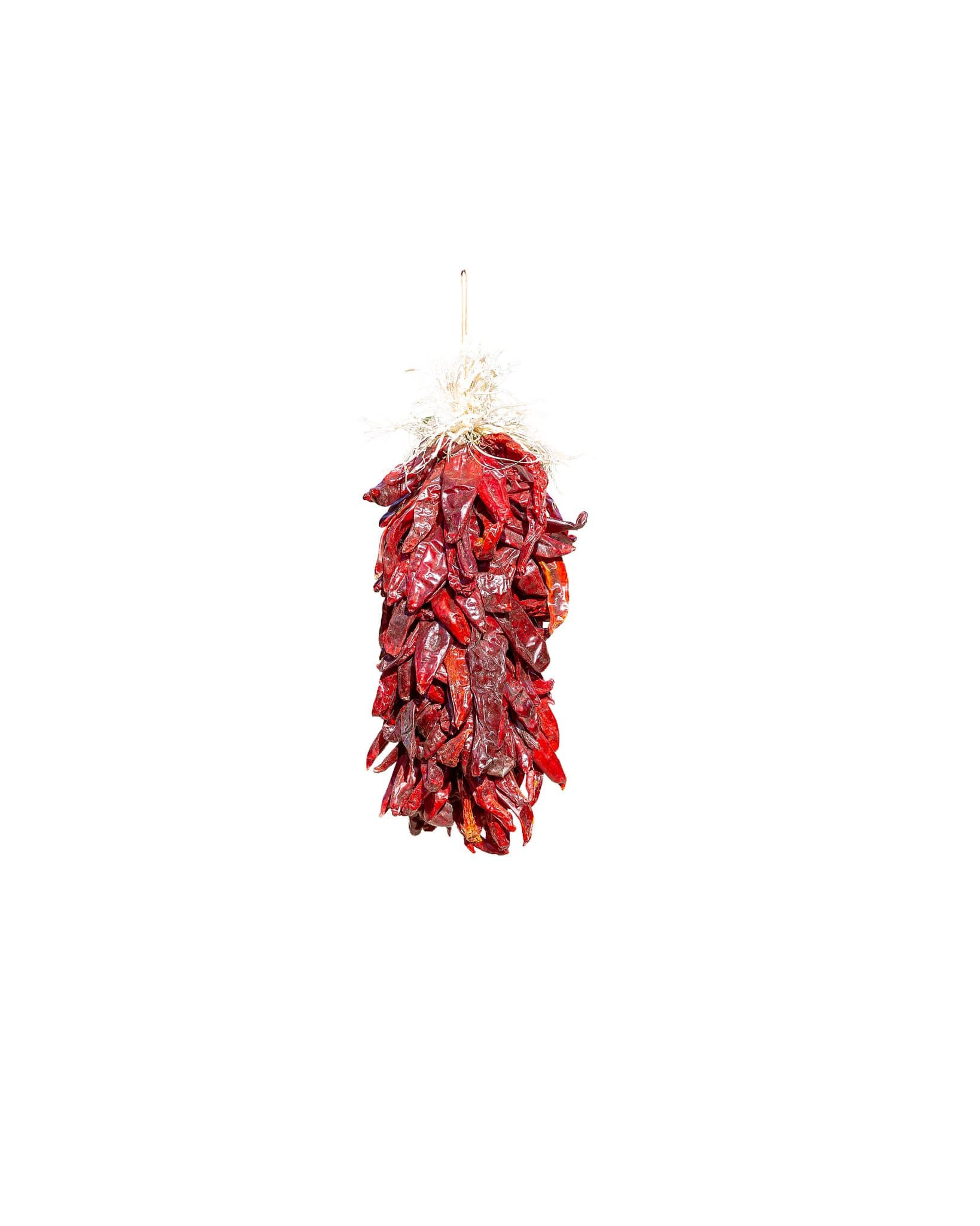 A bundle of dried Traditional Sandia Ristras hung by a string against a white background.