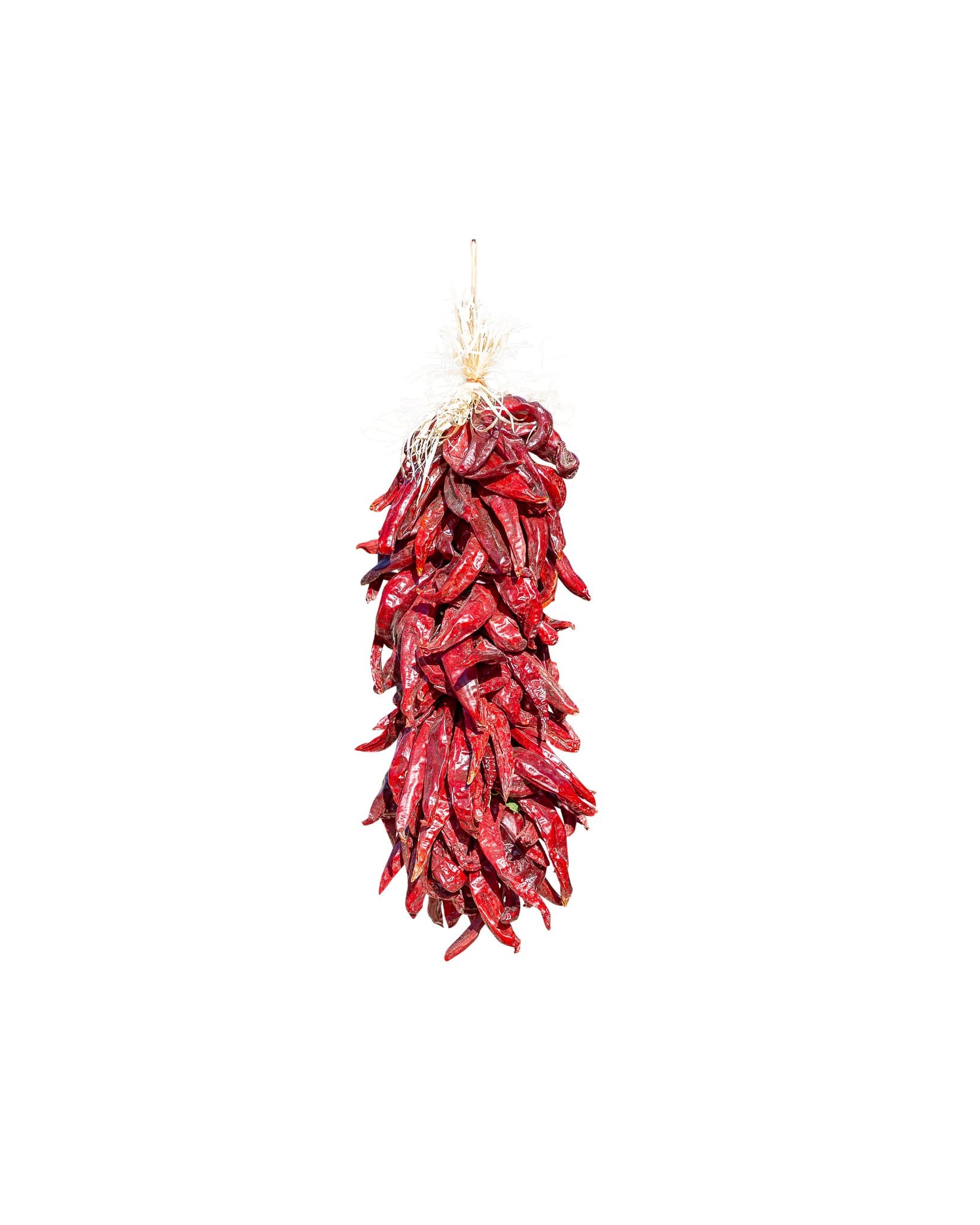 A ristra of Traditional Sandia Ristras hanging against a white background. The chilis are arranged in a dense, elongated bunch, tied at the top with twine.