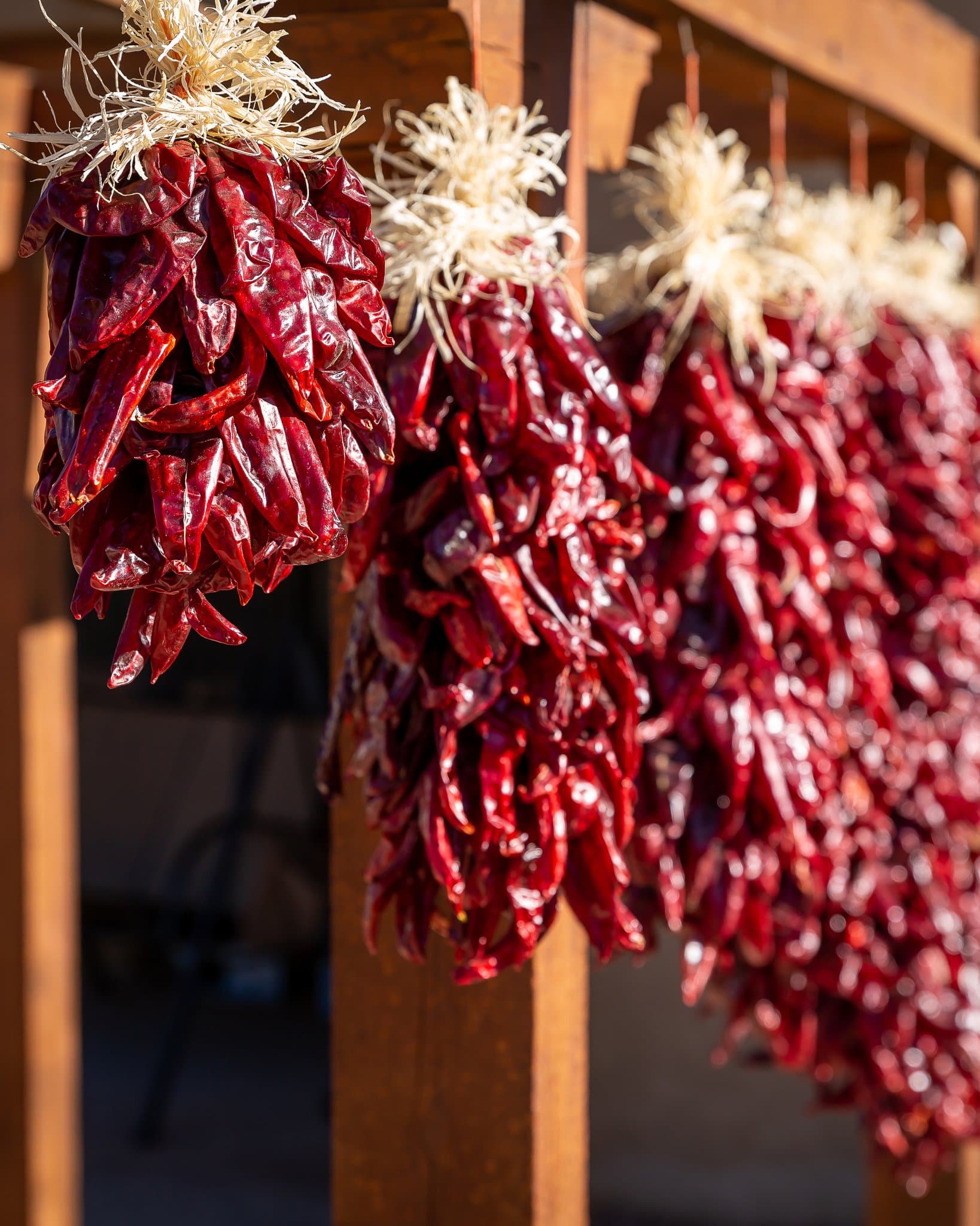 Bundles of bright red Traditional Sandia Ristras hanging to dry, tied with straw and suspended from a wooden structure in a sunny outdoor setting.