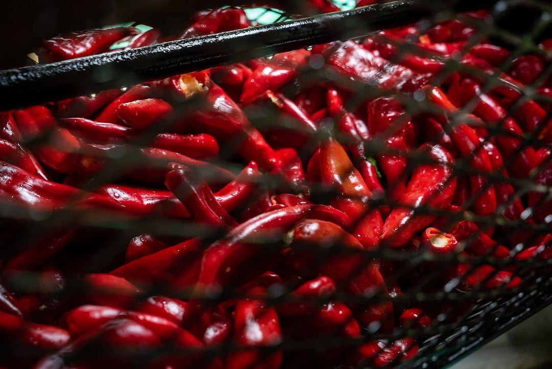 Fresh Hatch Red Chile - Hatch Chile Store