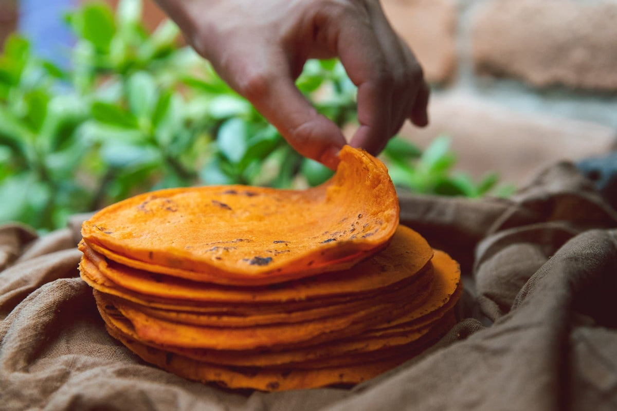 Hand picking up a crispy Hatch red chile corn tortilla from a stack