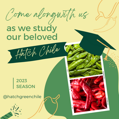Hatch Green Chile University