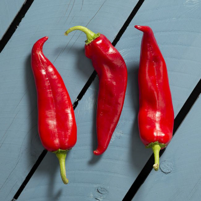 Is Hatch Chile Hot?