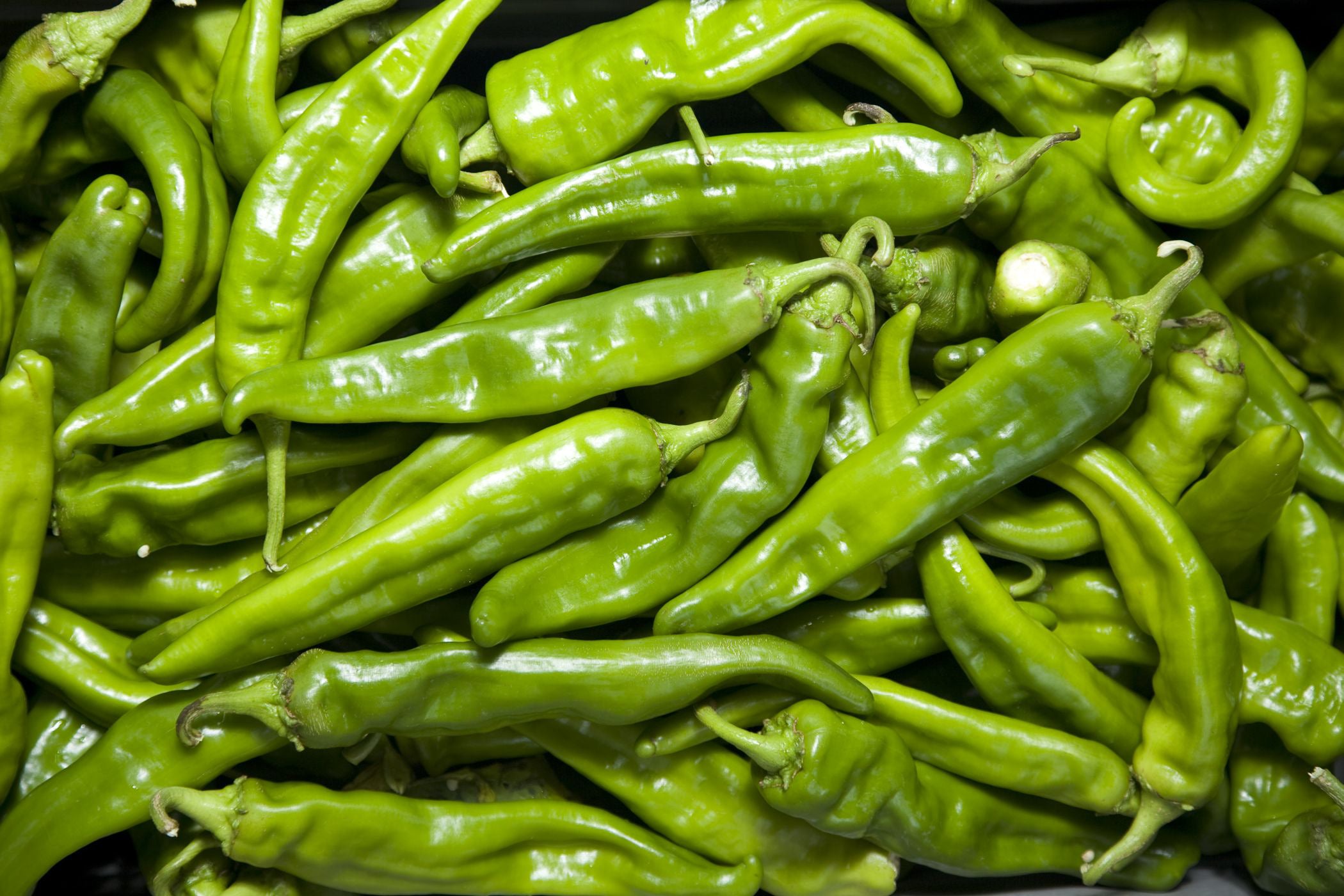 Fresh Hatch Green Chile Hatch NM