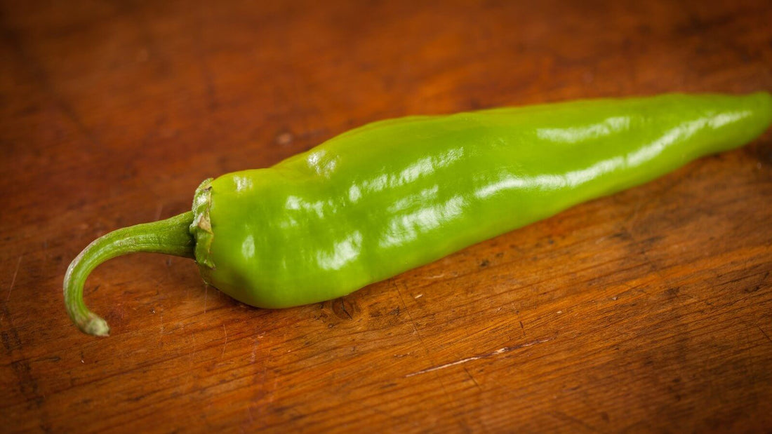 A single fresh green chile pod with a curled stem lying on a wooden board