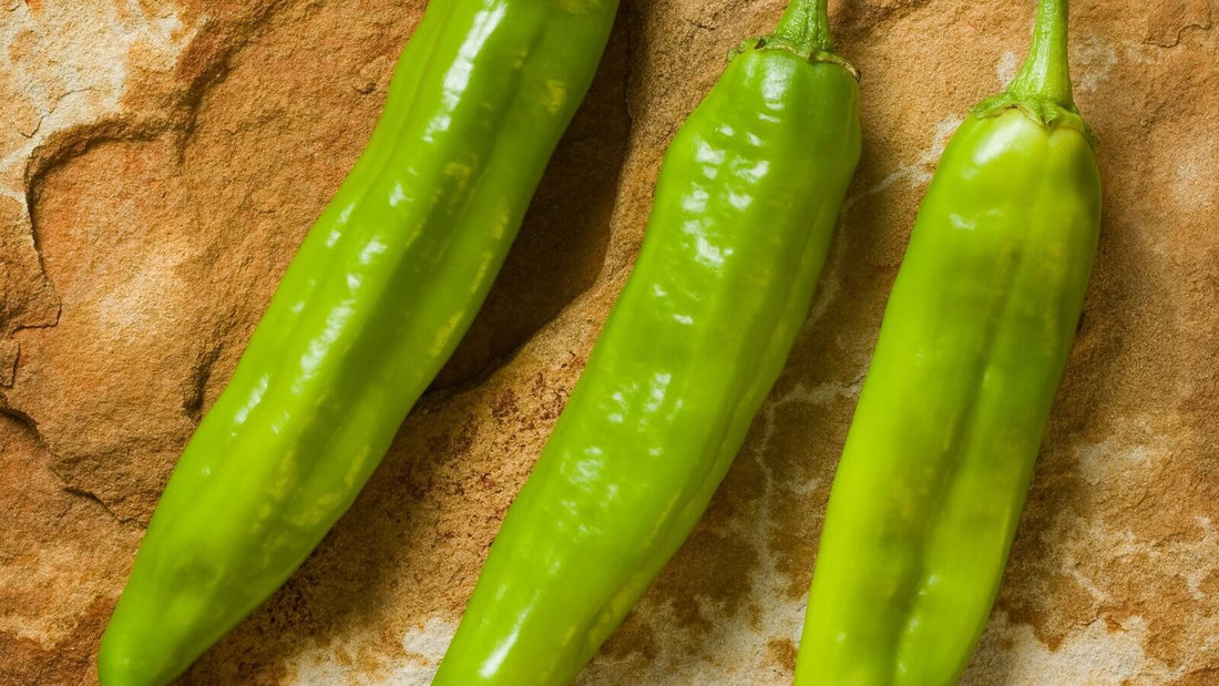 Three long fresh green Hatch chile pods lying side by side on a warm sandstone-colored surface