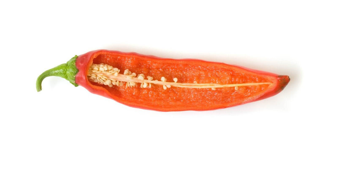 A red chile pod sliced open lengthwise to show the pale ribs and seeds inside, on a white background