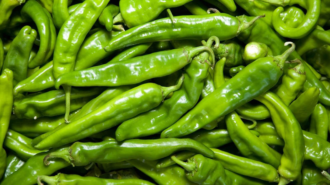 Fresh green chile pods piled edge to edge