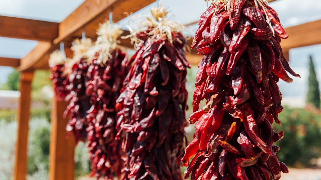 Dried red chile ristras of different lengths hanging from a wooden portal beam in the sun