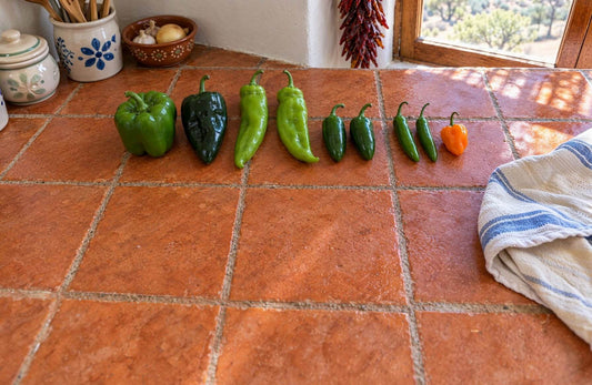 A row of fresh peppers on a tile counter, from a green bell pepper and a poblano to New Mexico green chiles, jalapeños, serranos and an orange habanero
