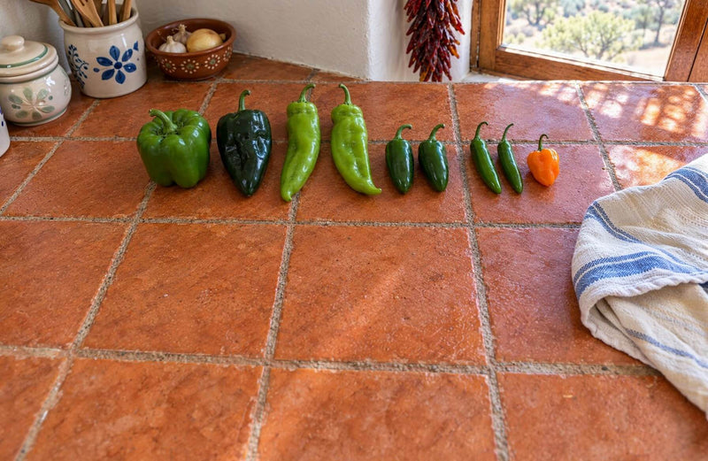 A row of fresh peppers on a tile counter, from a green bell pepper and a poblano to New Mexico green chiles, jalapeños, serranos and an orange habanero
