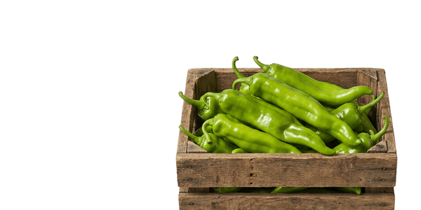 When is Hatch Chile Season?
