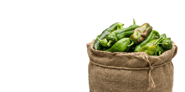 Hatch Green Chile