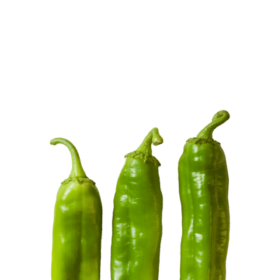 What are Hatch Chiles?
