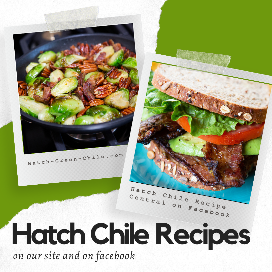 delicious looking recipes made with hatch green chile