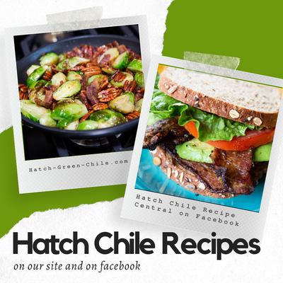 All Recipes