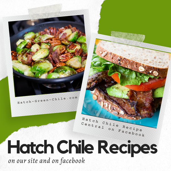 All Recipes