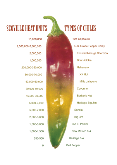 Hatch Chile Heat Level