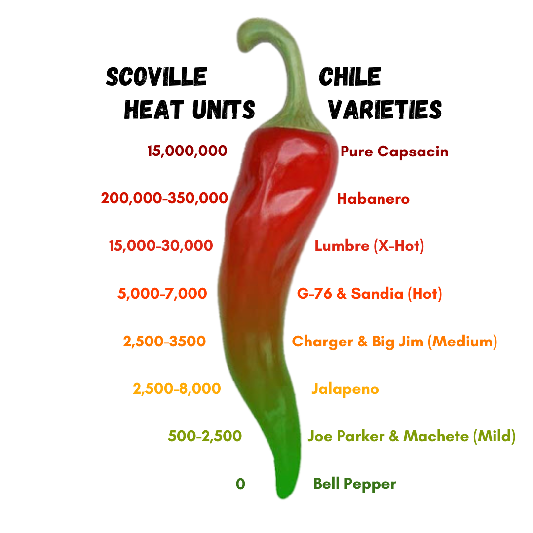 Scoville Heat Units compared to Hatch Chile varieties. Joe Parker & Machete (mild) 500-2,500. Charger & Big Jim (medium) 2,500-3,500. G-76 & Sandia (hot) 5,000-7,000. Lumbre (x-hot) 15,000-30,000. Habanero 200,000-350,000. Pure Capsacin 15,000,000.