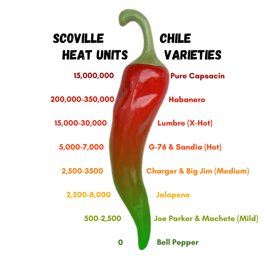 Is Hatch Chile Hot? The Hatch Chile Store