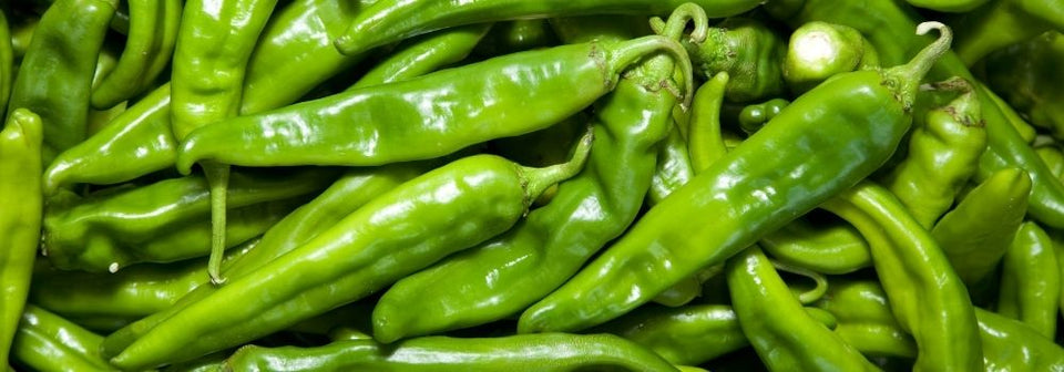 Close-up pile of fresh green Hatch chile peppers