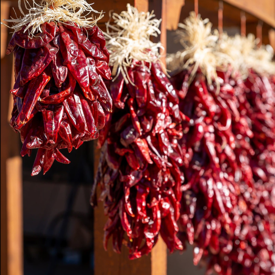 Close-up of Sandia red chile ristras drying in the sun