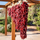 Red chile ristras hanging from a wooden pergola in New Mexico