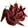 Sun-Dried Red Chile