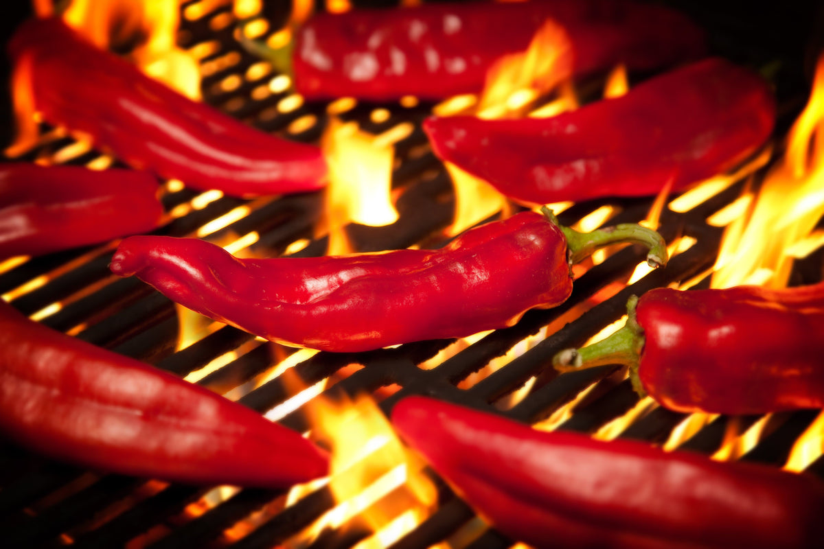 Fresh Hatch Red Chile Sauce - Hatch Chile Store