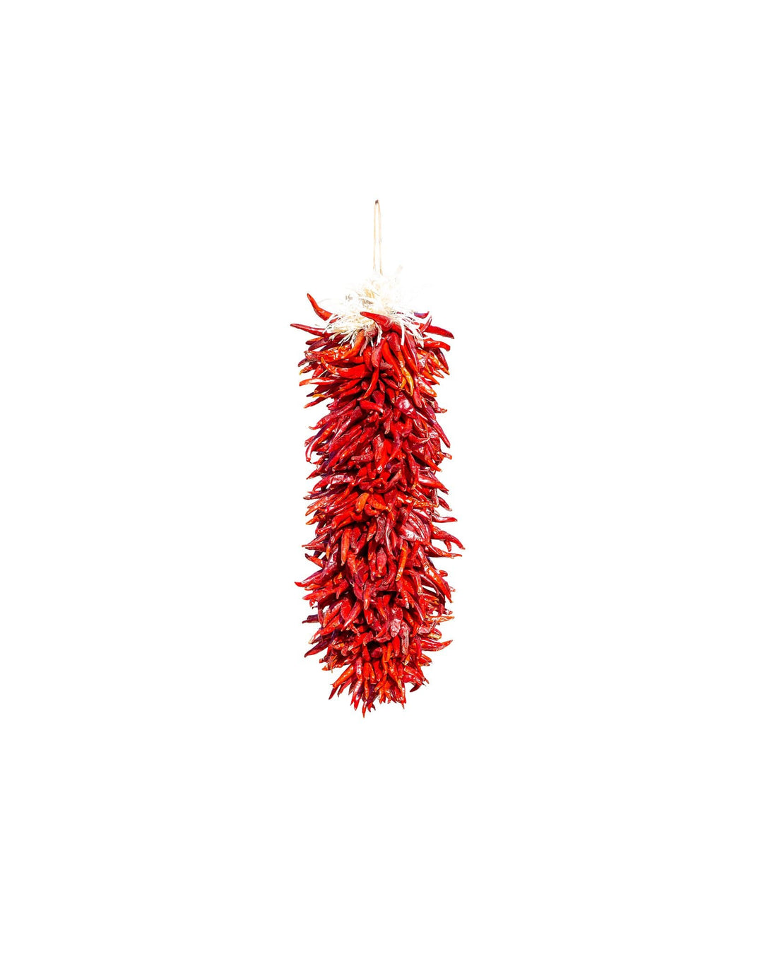 A vertical string of bright red Chile Pequin Ristras, bundled together as a handmade ristra, hanging against a plain white background.