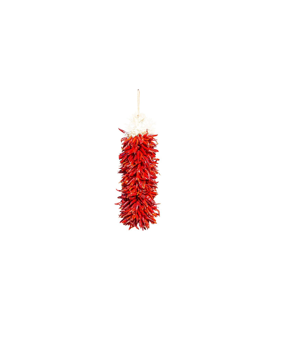 A vibrant red Chile Pequin Ristras with a fluffy white top, hanging against a white background.