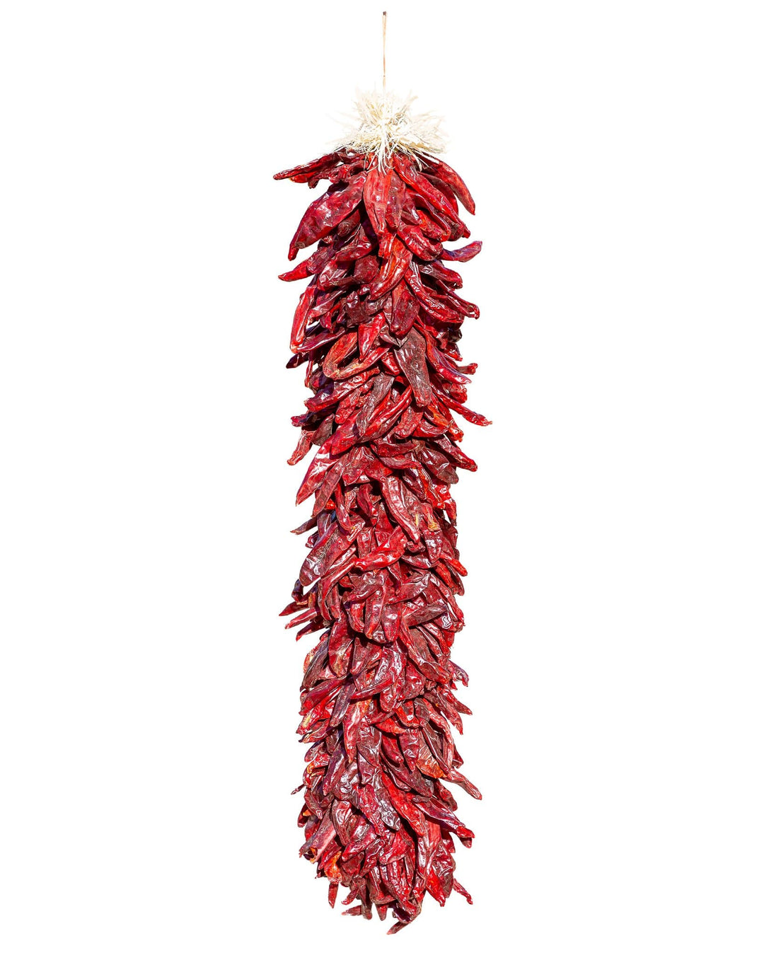 A traditional Sandia ristra made of bright red chili peppers hanging vertically, isolated on a white background.