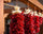 Strings of Chile Pequin Ristras