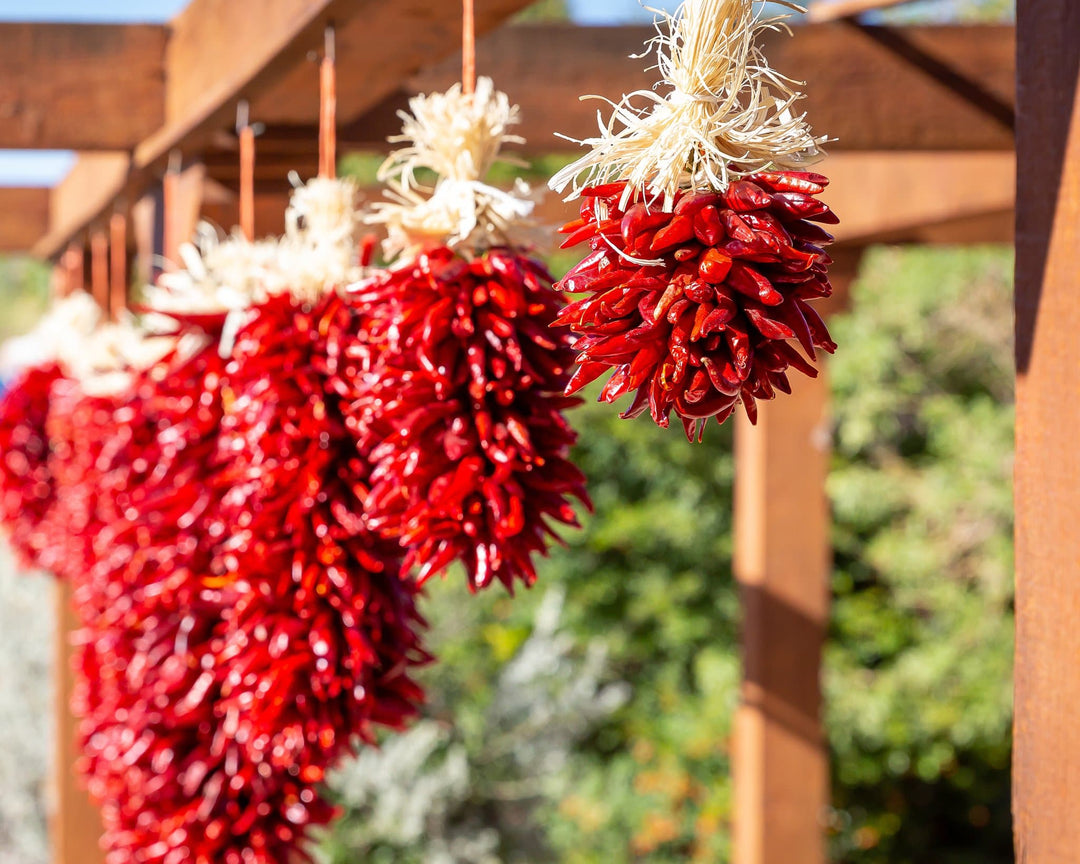 Chile Pequin ristras of red chili peppers hanging from a wooden beam, drying in the sun, with green plants in the background.