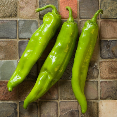 What are Hatch Chiles?