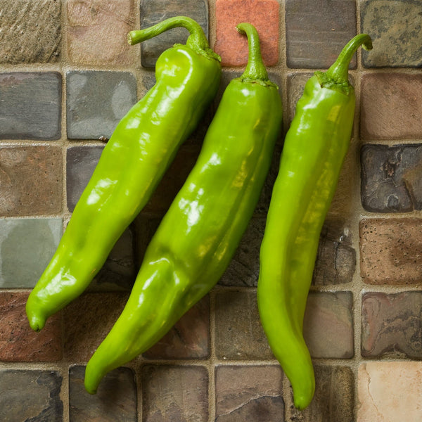 What are Hatch Chiles?
